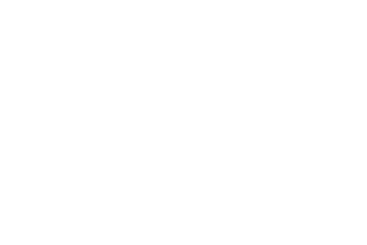 ١ ١
