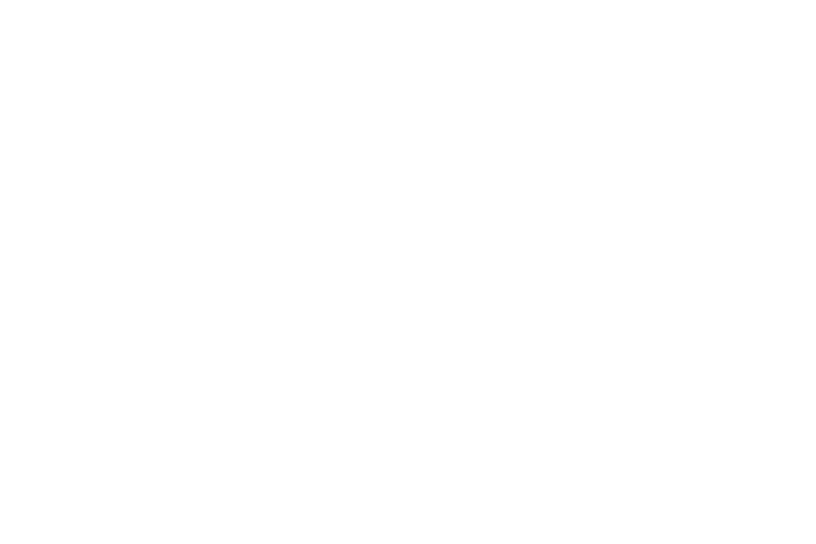 ٤ ٤